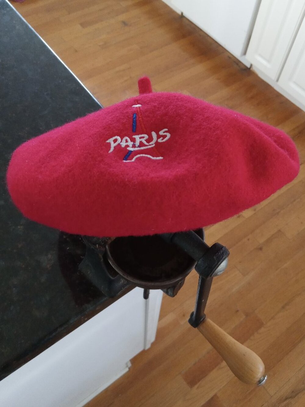Child's Rich Tomato Red Wool "Paris" Eiffel Tower Embroidered Beret - NWOT